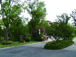 城市园林绿化
