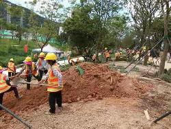 园林植被种植